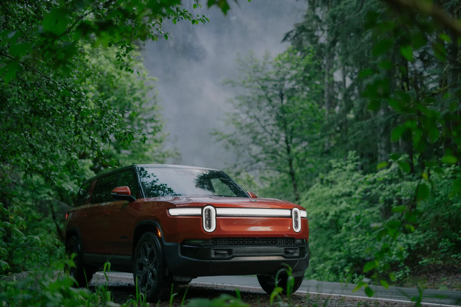 A Rivian R1T parked in a forest clearing