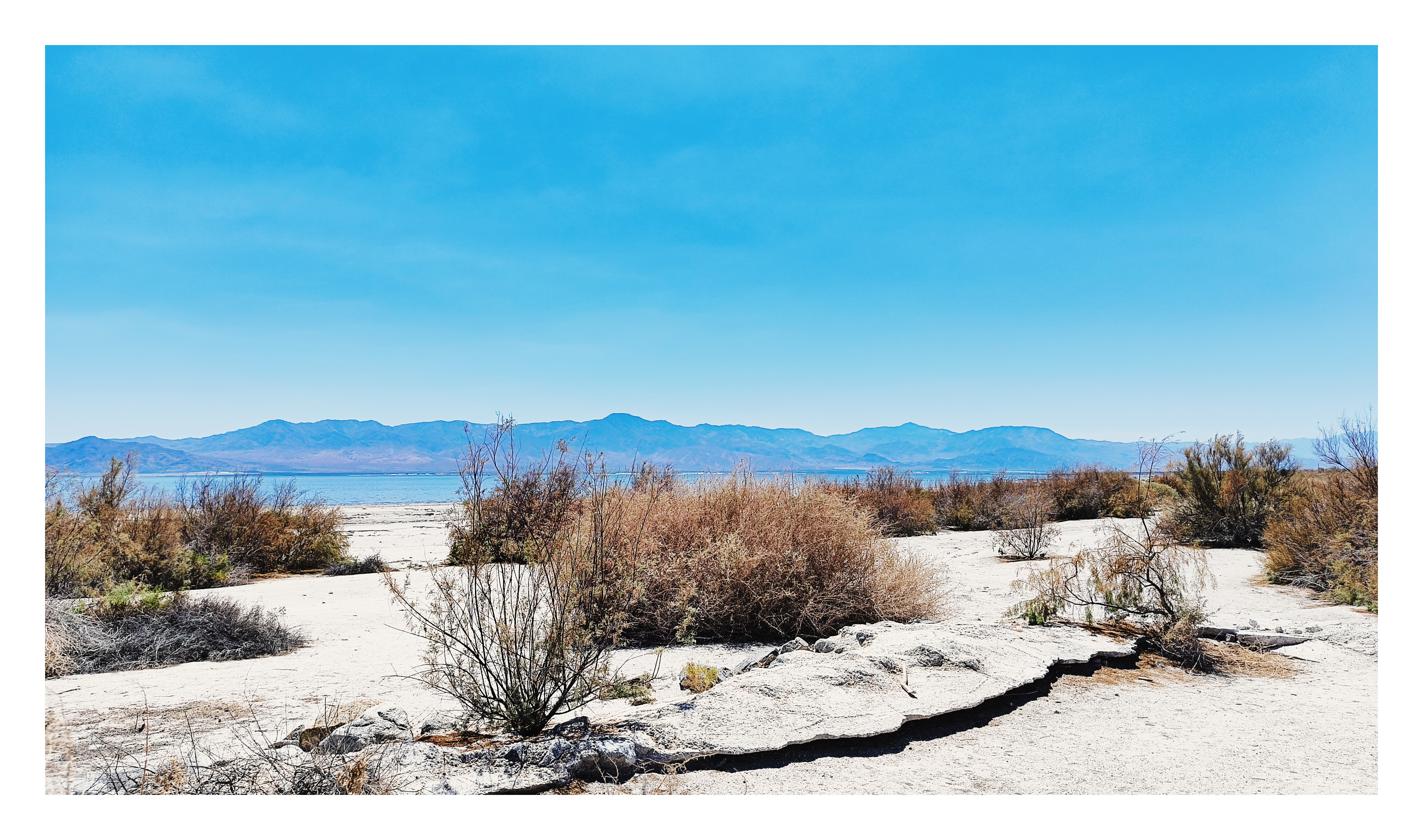 Salton Sea